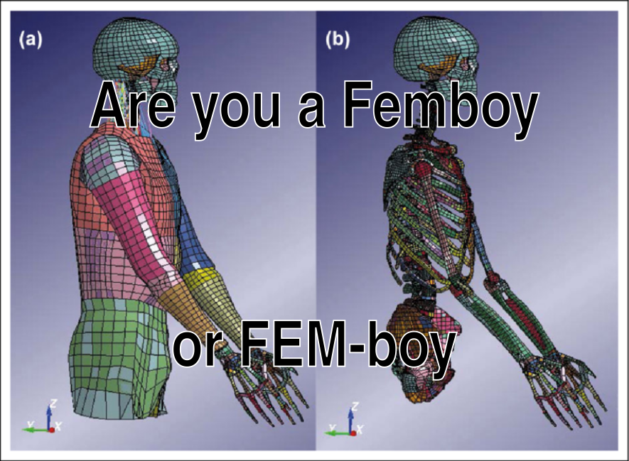 A meme with text above a picture. The picture shows a meshed human body like when it is used for Finite Element Methods. The text reads "are you a femboy or FEM-boy".