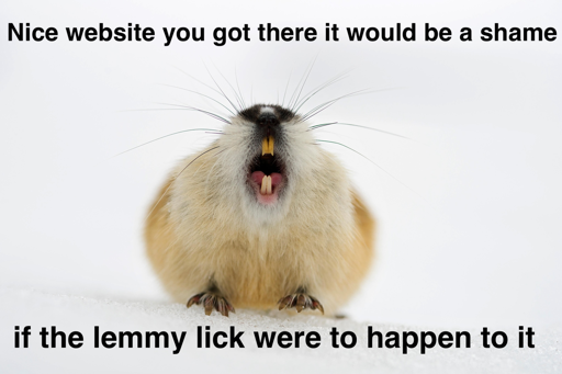 Photo of Lemming in snow "Nice website you got there it would be a shame" "if the lemmy lick were to happen to it"